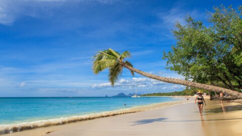 Photo of beach in Martinique