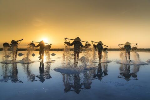 Photo of salt harvesters