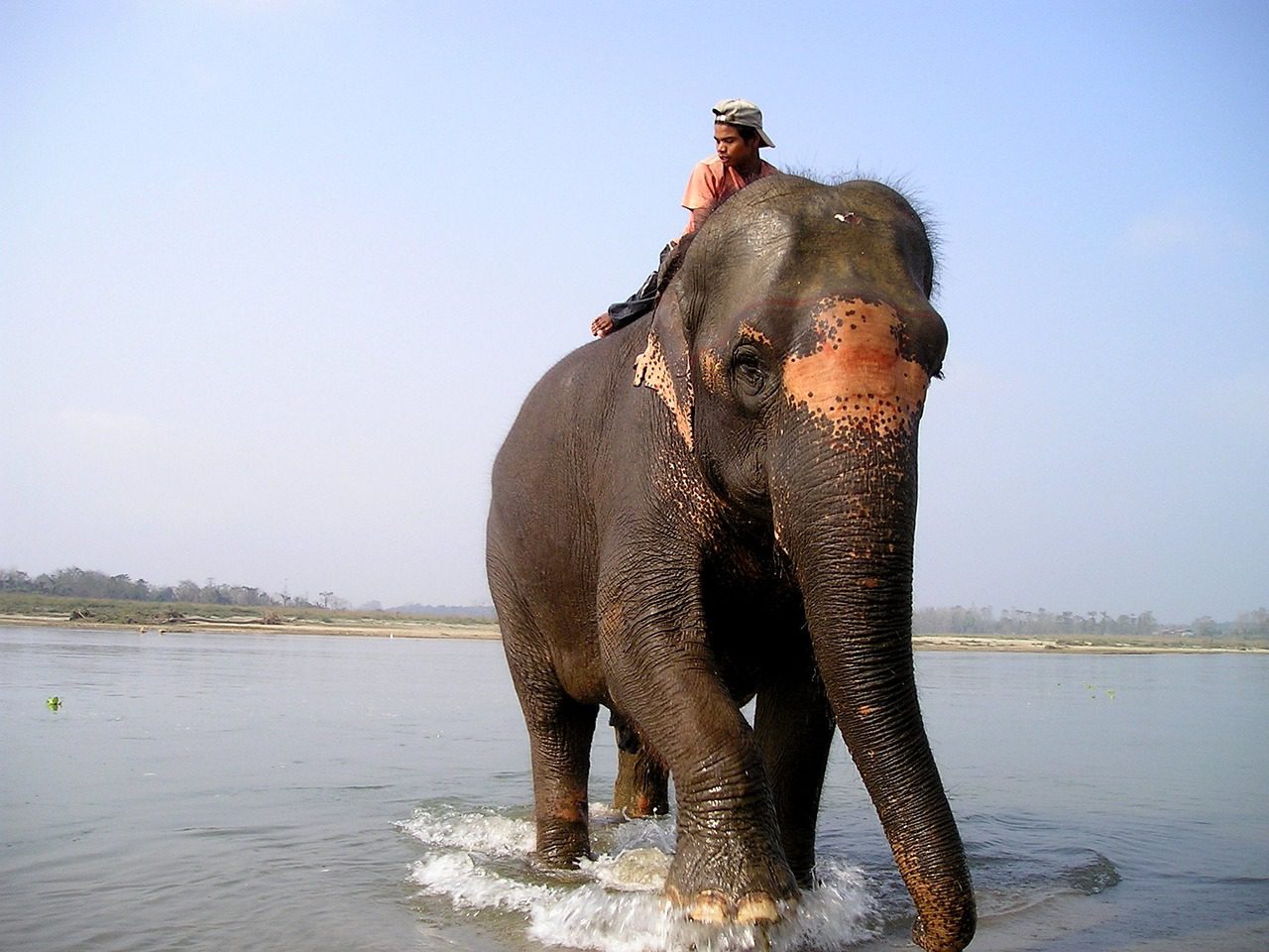 Photo of a man crossing a river on elephant back