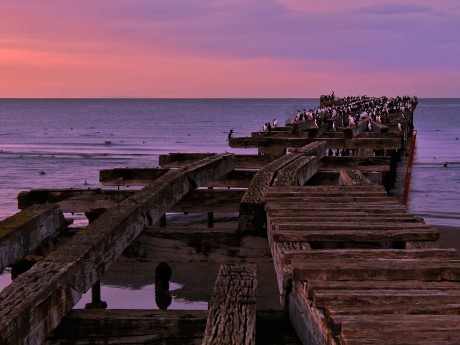 Chile: Santiago, Coyhaique & Punta Arenas