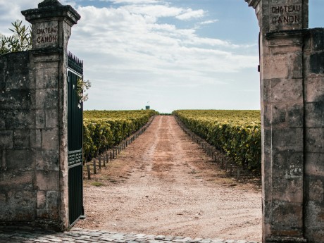 France: Wine and Wellness (Bordeaux, Saint-Émilion, Dax)
