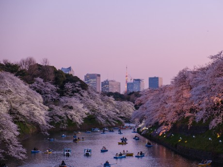 Japan: Tokyo and Osaka