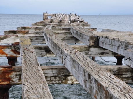 Punta Arenas