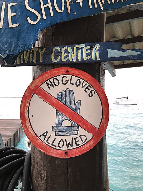 '''No gloves''' on Bonaire